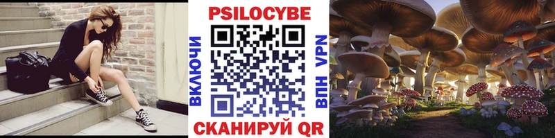 Галлюциногенные грибы MAGIC MUSHROOMS  omg зеркало  Жуковский 
